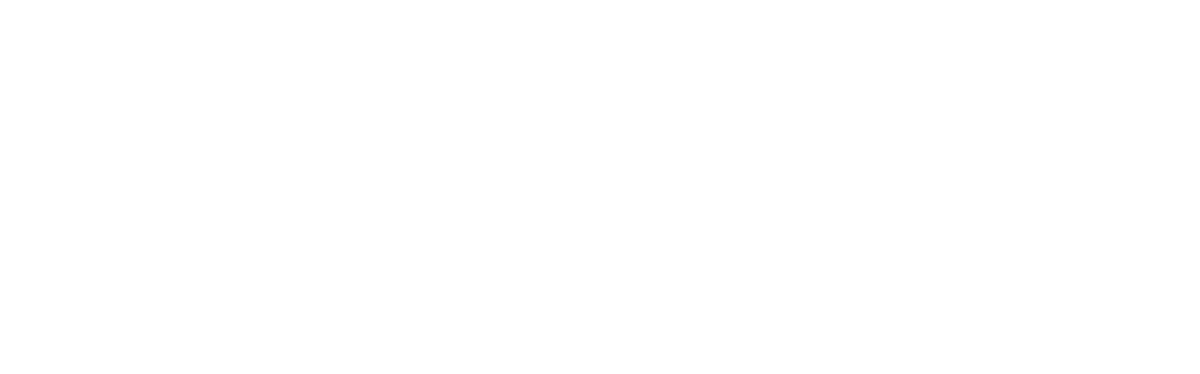 TVEC Connect logo